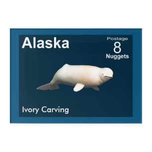 Ivory Beluga - Alaska Postage Acrylic Print