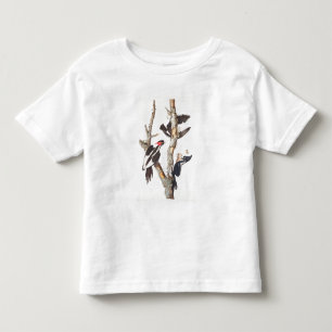 Ivory-billed Woodpecker, 1829, (print) Toddler T-shirt