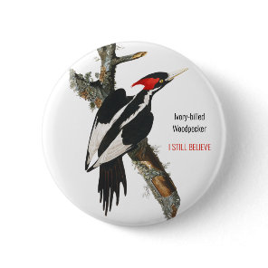 Ivory-billed Woodpecker, Audubon, I Still Believe, Button