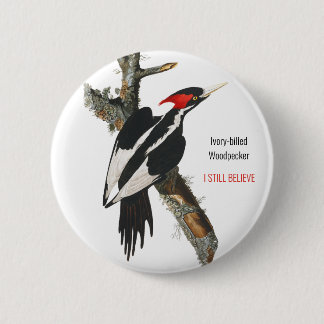 Ivory-billed Woodpecker, Audubon, I Still Believe, Button