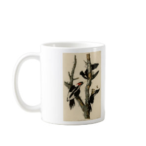 Ivory-billed Woodpecker Audubon's Birds of America Coffee Mug