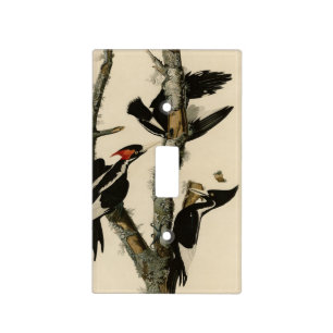 Ivory-billed Woodpecker Audubon's Birds of America Light Switch Cover