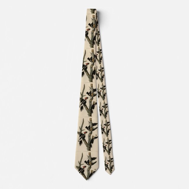 Ivory-billed Woodpecker Audubon's Birds of America Neck Tie (Front)