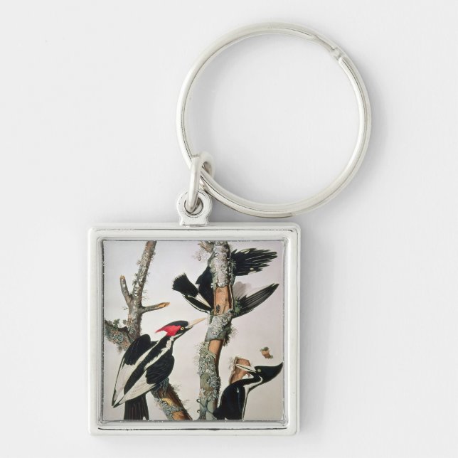 Ivory-billed Woodpecker, from 'Birds of America' Keychain (Front)