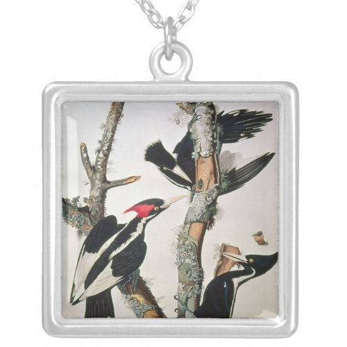 Ivory_billed Woodpecker from Birds of America Silver Plated Necklace