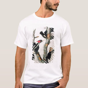 Ivory-billed Woodpecker, from 'Birds of America' T-Shirt