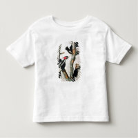 Ivory-billed Woodpecker, from 'Birds of America'