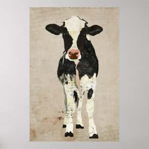 Ivory & Black Cow Art Poster