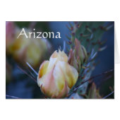 Ivory cactus flower, Arizona (Front Horizontal)