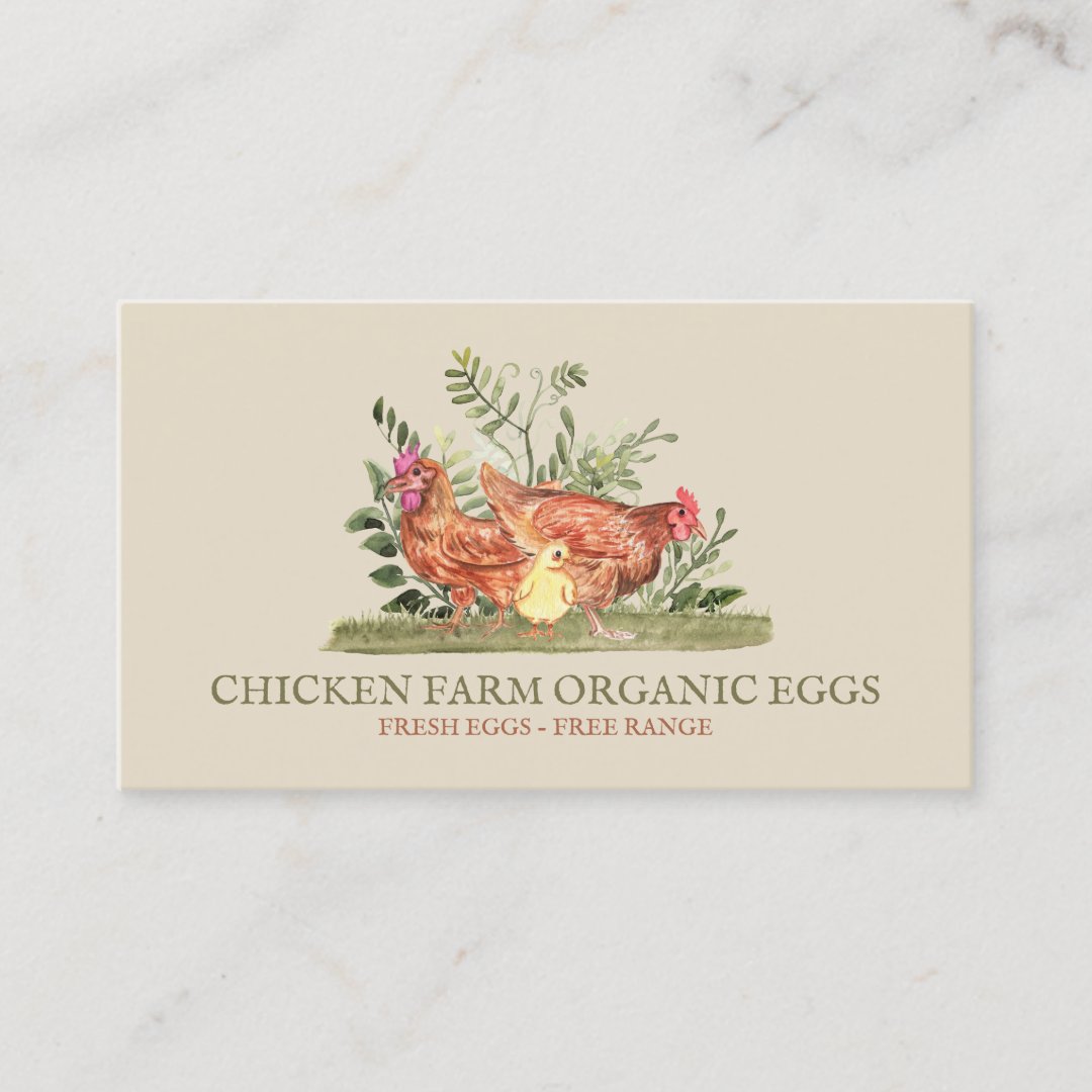 Ivory Chicken Family Farm Fresh Eggs Hen Rooster Business Card | Zazzle