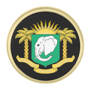 Ivory Coast & Africa Coat of Arms, Flag / business Gold Finish Lapel Pin