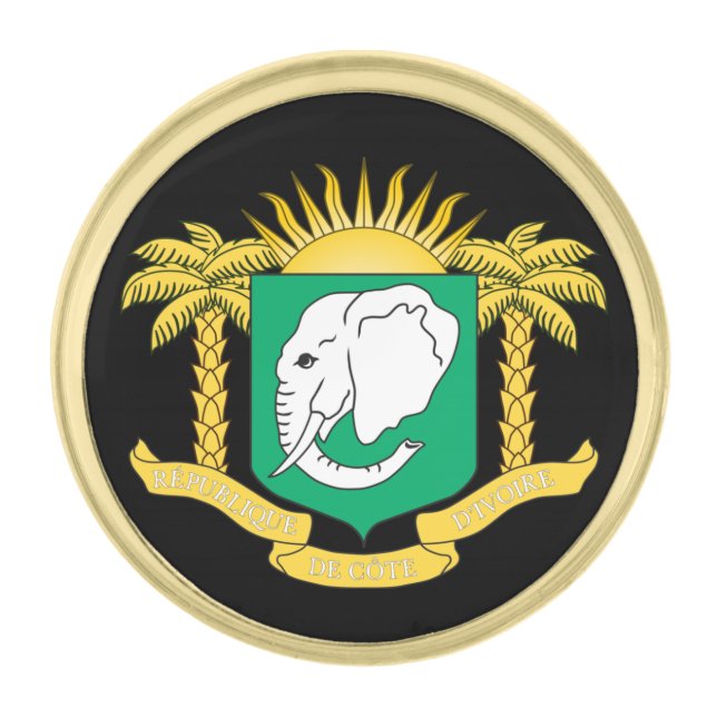 Ivory Coast & Africa Coat of Arms, Flag / business Gold Finish Lapel Pin (Front)