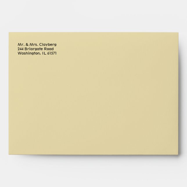 Ivory Envelope With Damask Inside (Front)