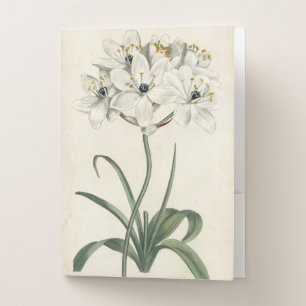 Ivory Garden Pocket Folder
