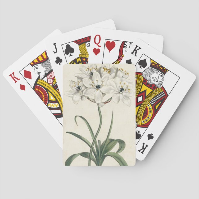Ivory Garden Poker Cards (Back)