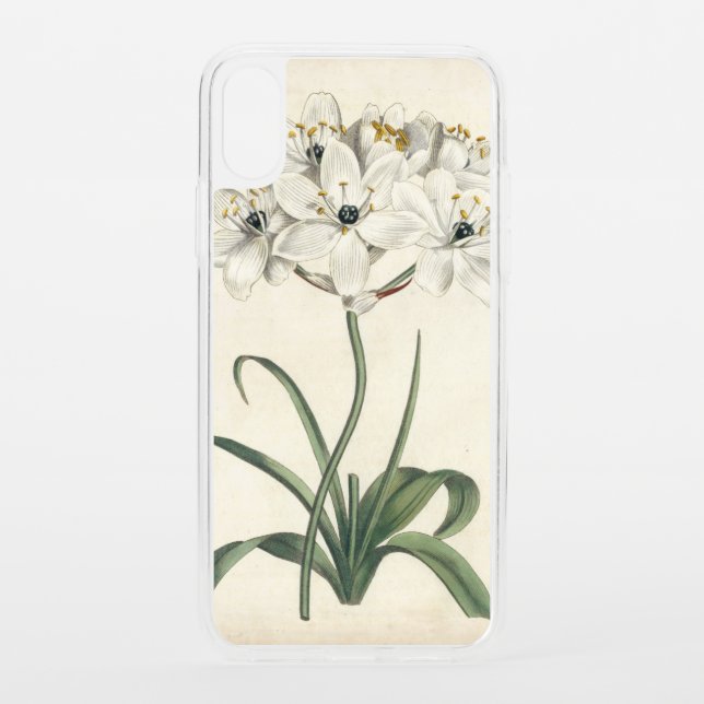 Ivory Garden Uncommon iPhone Case (Back)