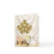 Ivory Gold Champagne Thank You Cards