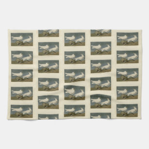 Ivory Gull - John James Audubon's Birds of America Kitchen Towel