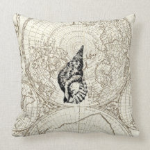 Ivory Map and SeaShell Illustration Sealife