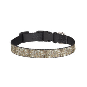 Ivory Rose Pattern – Elegant Floral Art Pet Collar