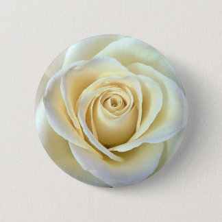 Ivory Rose Pinback Button