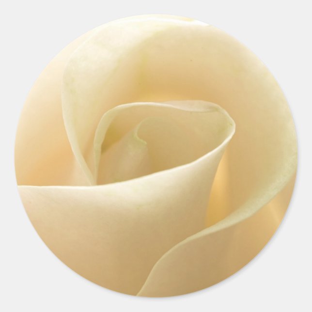Ivory Rose Wedding Stickers (Front)