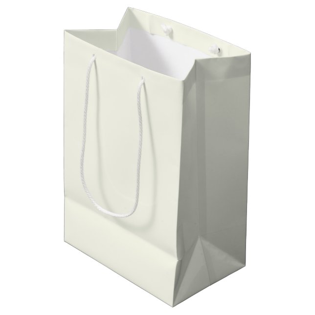 Ivory Solid Color Medium Gift Bag (Front Angled)