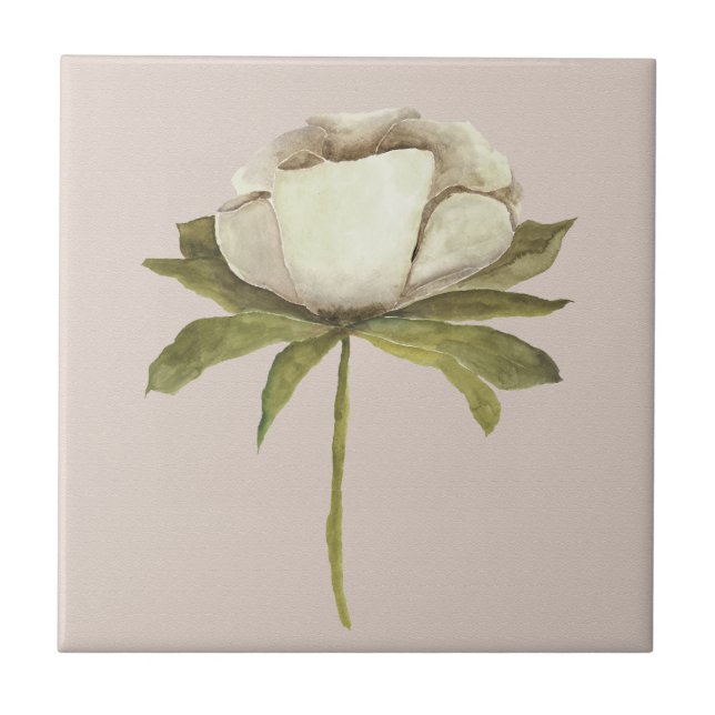 Ivory Watercolor Flower on Taupe Ceramic Tile (Front)