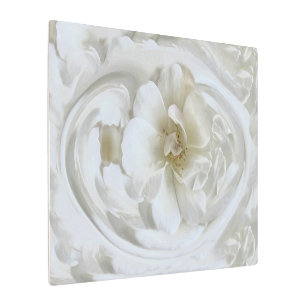 Ivory white metal print