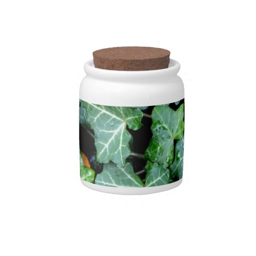 Ivy and field stone candy jar