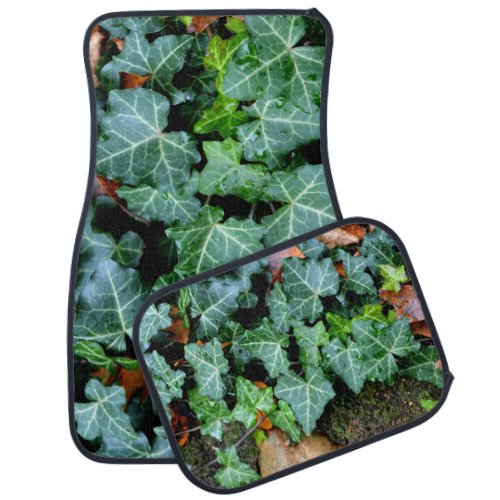 Ivy and field stone  car floor mat