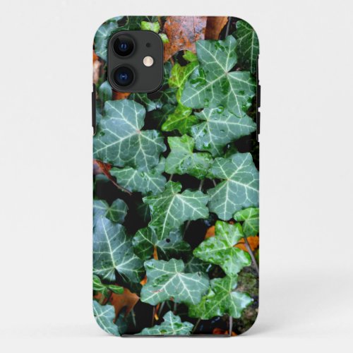 Ivy and field stone iPhone 11 case
