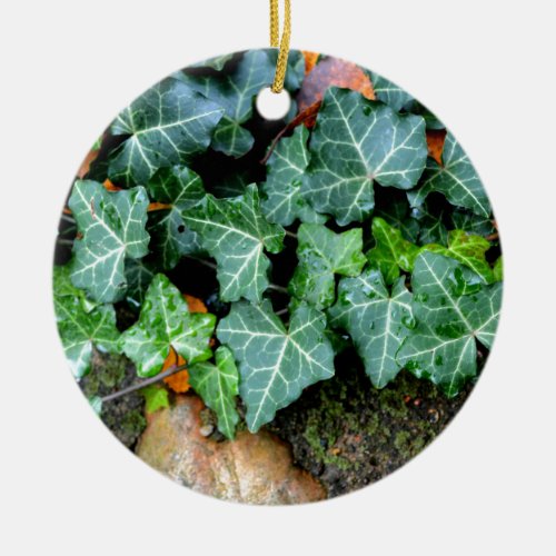 Ivy and field stone ceramic ornament
