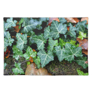 Ivy and field stone cloth placemat