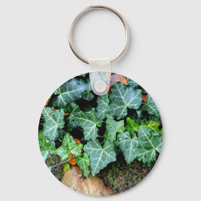Ivy and field stone keychain (Front)