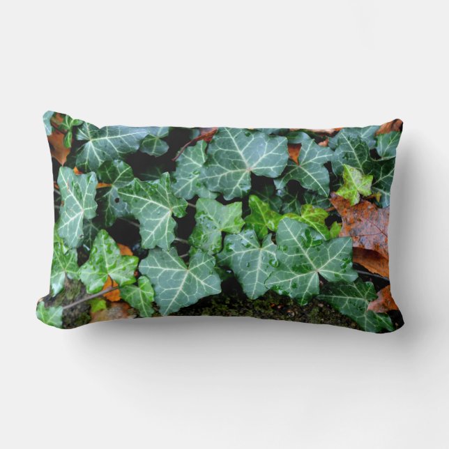 Ivy and field stone lumbar pillow (Front)