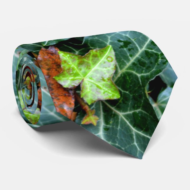 Ivy and field stone neck tie (Rolled)