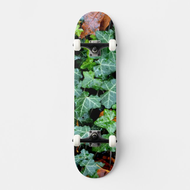 Ivy and field stone skateboard deck (Front)