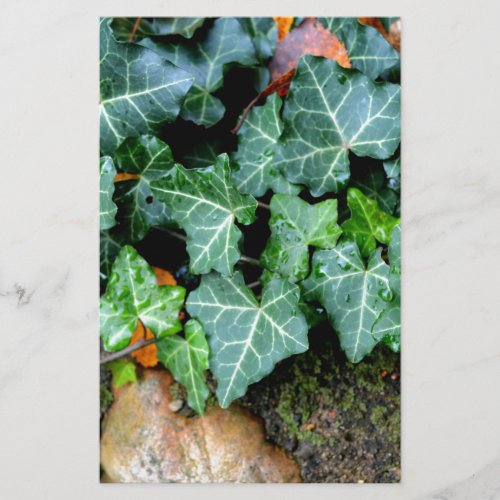 Ivy and field stone stationery