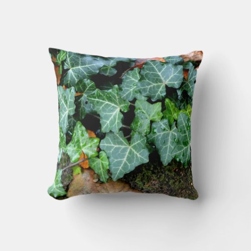 Ivy and field stone throw pillow