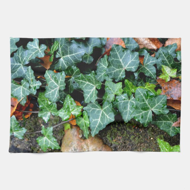Ivy and field stone towel (Horizontal)