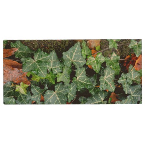 Ivy and field stone wood flash drive