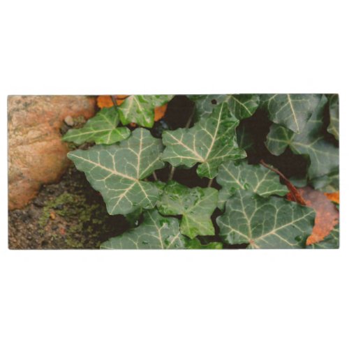 Ivy and field stone wood USB flash drive