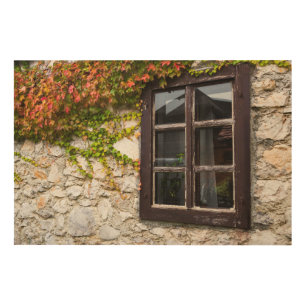 Ivy And Window, Croatia Wood Wall Art