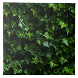 Ivy Background, Green Leaves, Naturalistic Realism Ceramic Tile