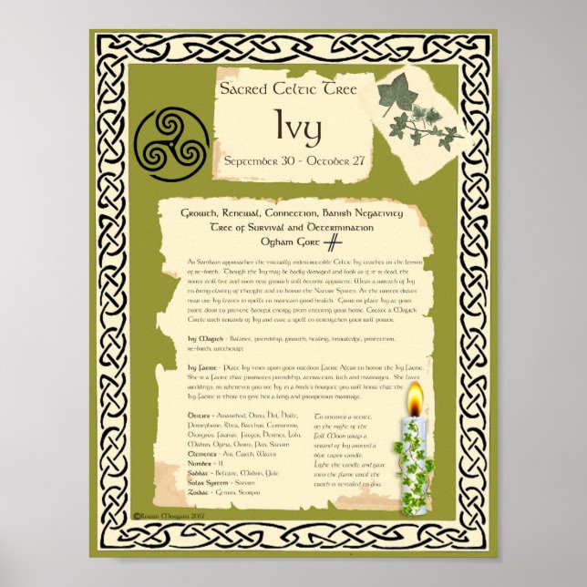 IVY CELTIC SACRED TREE POSTER (Front)