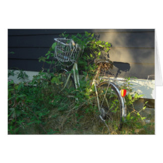ivy covered bike cards
