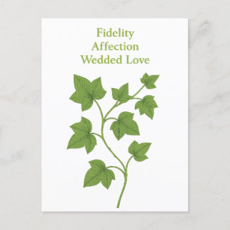 Ivy — Fidelity, affection, wedded love  Invitation Postcard