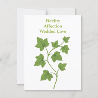Ivy — Fidelity, affection, wedded love  Postcard