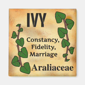 Ivy flower language florigraphy aged paper style magnet